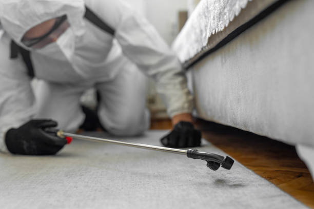 Professional Bed Bug Control technician working in Washington Mills, NY