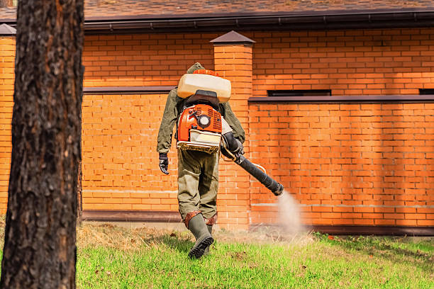 Trusted Rodent Control service in Washington Mills, NY - Nex Pest Control